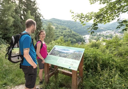 Eifel-Blick Wolfshügel Simmerath-Einruhr, © Eifel Tourismus GmbH, Dominik Ketz