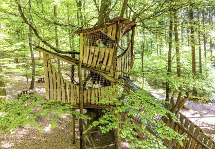 Baumhaus Holzberg, © Eifel Tourismus GmbH, Dominik Ketz