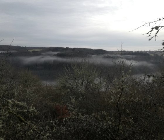 vernebelter Morgen auf dem Burgberg