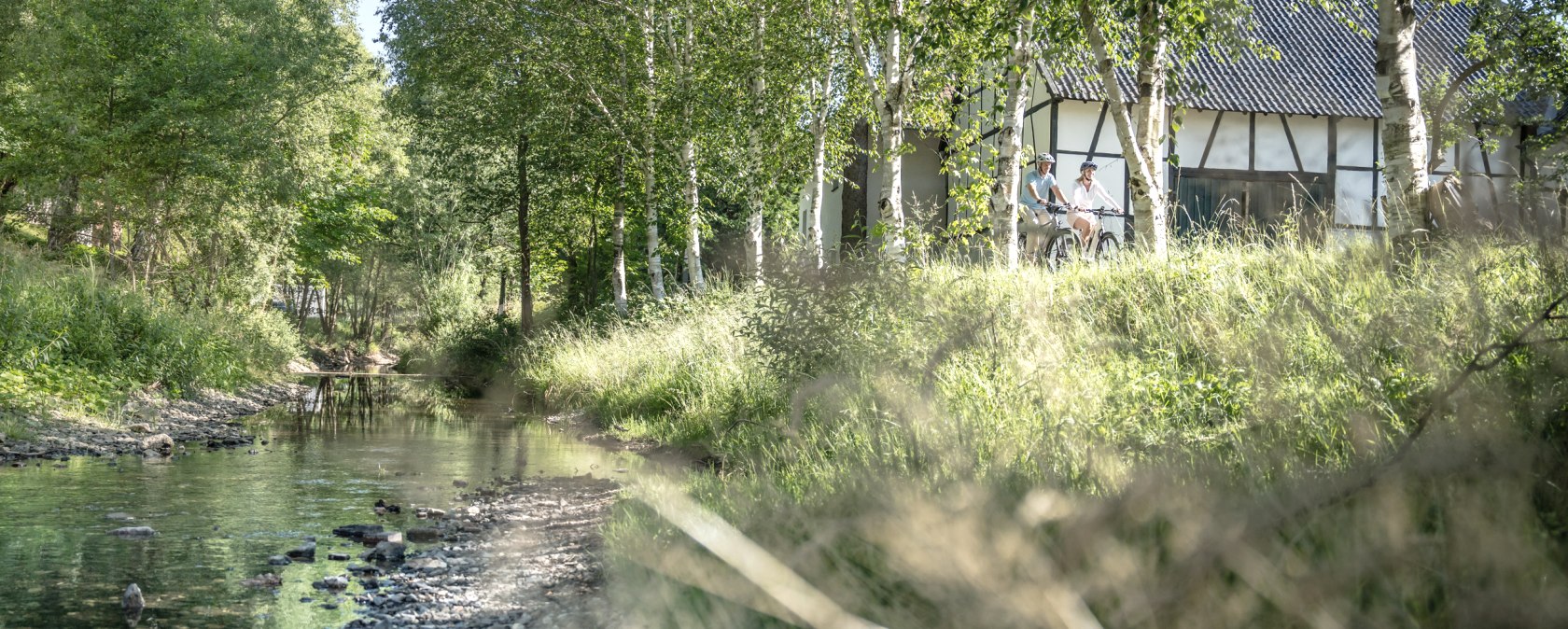 Die Urft begleitet den Löwenzahn-Erlebnispfad teilweise., © Eifel Tourismus GmbH, Dennis Stratmann