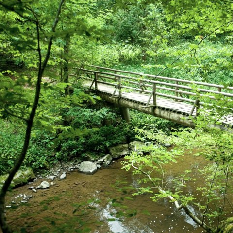 Wandern auf dem Lieserpfad - Brücke, © GesundLand Vulkaneifel / D. Ketz