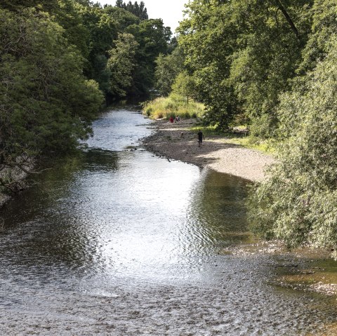 Rur, © Eifel Tourismus GmbH, Tobias Vollmer