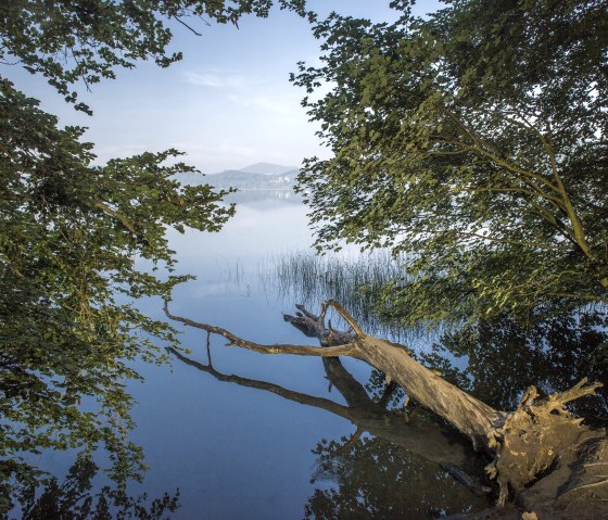 Meer van Laach, © Kappest/Vulkanregion Laacher See