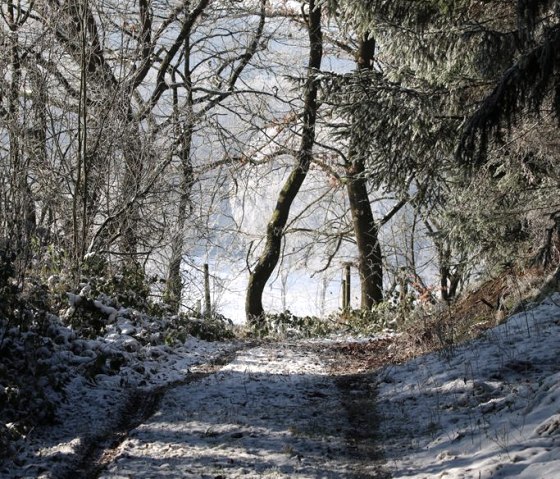 Wanderweg Winter