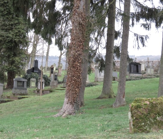 Jüdischer Friedhof Wittlich, © Werner Pelm