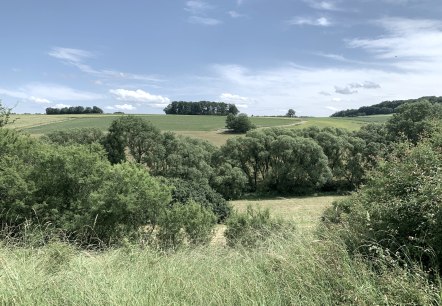 Schöne Aussicht auf dem Wanderweg  "Von Rula und Sulmana" in Röhl, © Benjamin Milbach