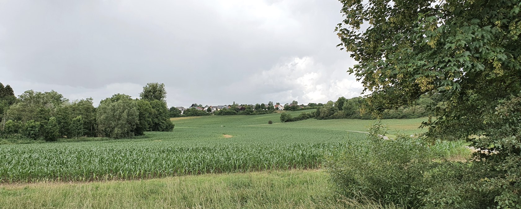 Blick über das Bitburger Gutland