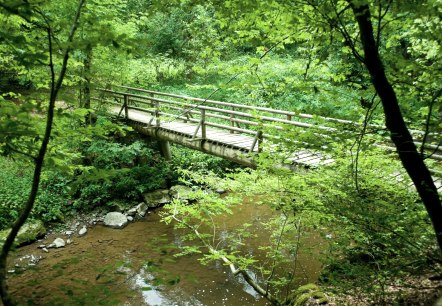 Wandern auf dem Lieserpfad - Brücke, © GesundLand Vulkaneifel / D. Ketz