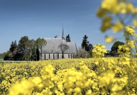 Schwanenkirche im Rapsfeld, © Schieferland Kaisersesch, Christoph Gerhartz