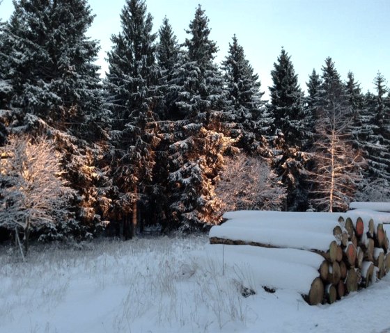 Wintermorgen im Nationalpark Eifel, © Nordeifel Tourismus GmbH & kph