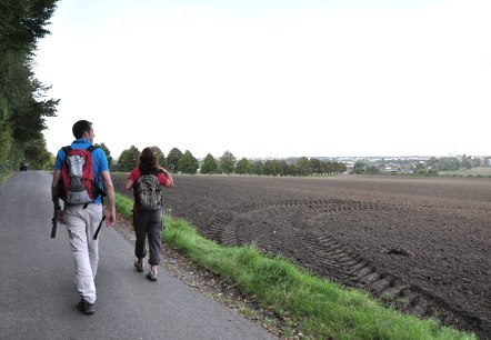 Römerkanal-Wanderweg Etappe 7, © Wandermagazin/ N. Glatter