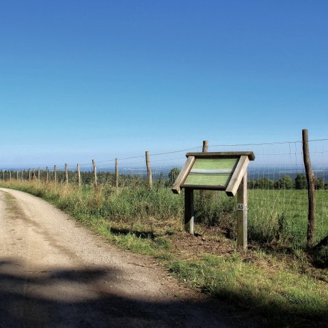 Eifel-Blick mit Infotafel, © Rureifel-Tourismus e.V.