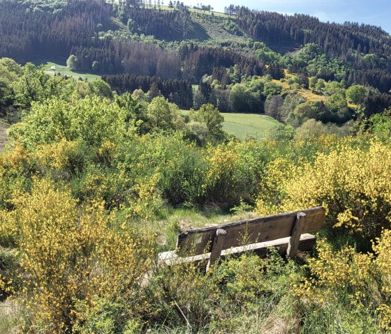 Ruhebank im Ginster, © Tourist-Information Islek