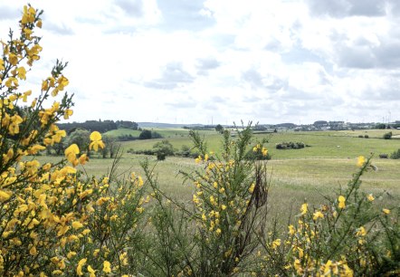 Eifelspur Raubritter, Aussicht, © Nordeifel Tourismus