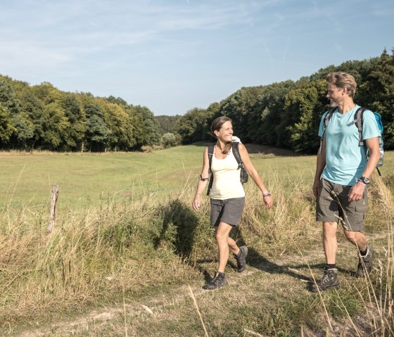 Wandern auf dem AhrSteig am Borsberg, © Kooperation AhrSteig,Dominik Ketz