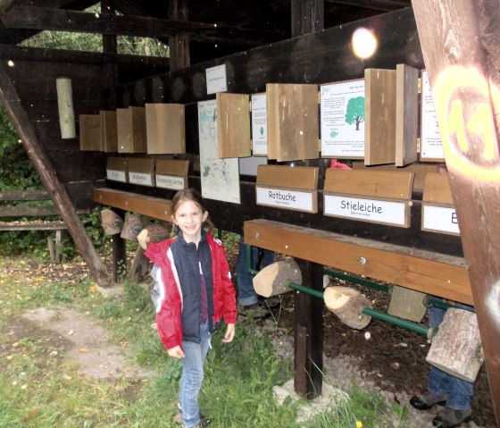 Walderlebnisstation "Jede Menge Holz", © Tourist-Information Bitburger Land