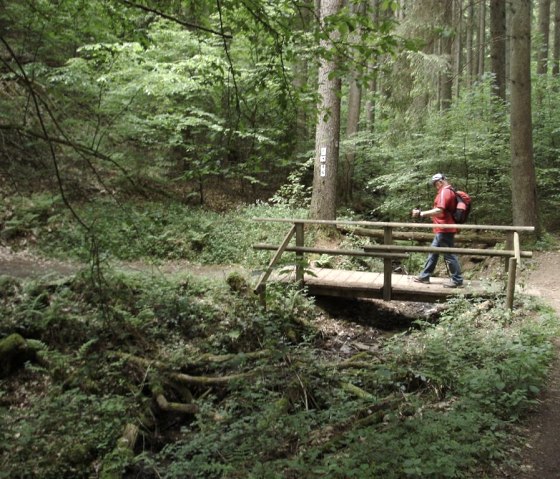 Lieserpfad / Eifelsteig