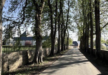 Hubertusstraße, © Nordeifel Tourismus GmbH & L´Extravagante