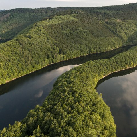 Gastgeber Nationalpark Eifel, © Eifel Tourismus/ D. Ketz