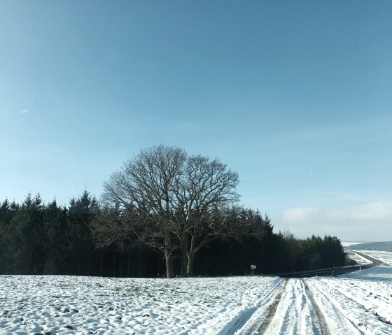 Winter in der Hocheifel Ferienwohnung Eifelzeiten, © Ferienwohnung Eifelzeiten,Gossen