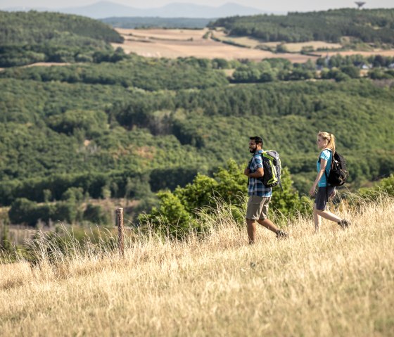 ET-2022-078-Lorbach-EifelSpur _Soweit das Auge reicht_-@Eifel Tourismus GmbH, Dominik Ketz, © Eifel Tourismus GmbH, Dominik Ketz - finanziert durch REACT-EU