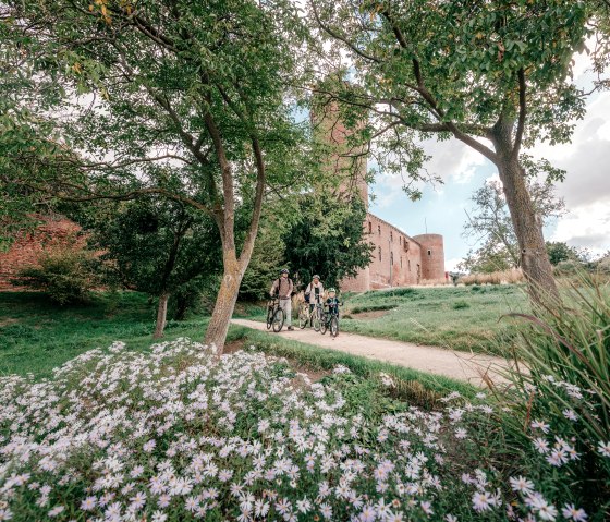 Blick vom Park am Wallgraben auf die Landesburg Zülpich, © Paul Meixner