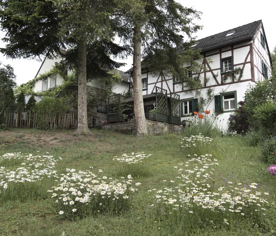 Garten_Haus