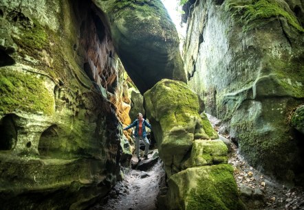 Felsen in der Teufelsschlucht, © Eifel Tourismus GmbH, D. Ketz