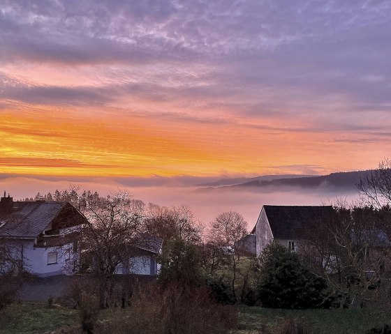 Blick aus dem Wohnzimmer