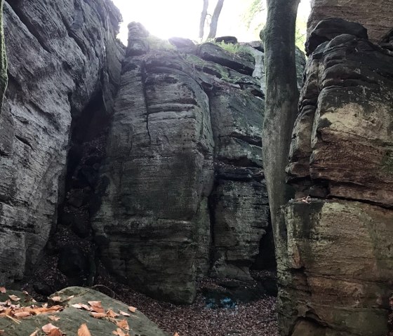 Wanderung zur Hubertusmesse Berdorf, © Ruth Faber-Plein Eifelverein Bollendorf