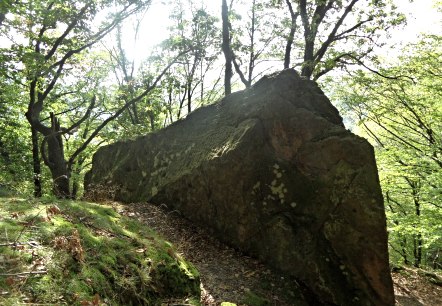 Hübsche Begleiter entlang des Wegesrandes, © Karl-Heinz Rosenzweig, Der-eifelyeti.de, © Der-eifelyeti.de