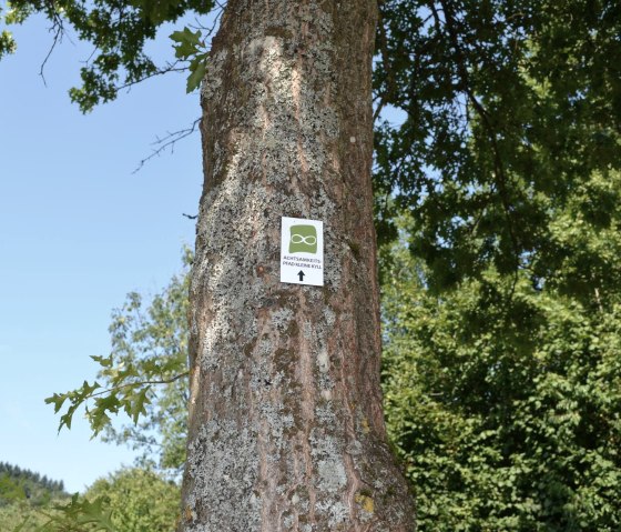 Achtsamkeitspfad Beschilderung, © GesundLand Vulkaneifel GmbH