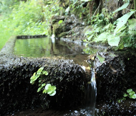 Maischquelle mit Überlauf, © GesundLand Vulkaneifel GmbH