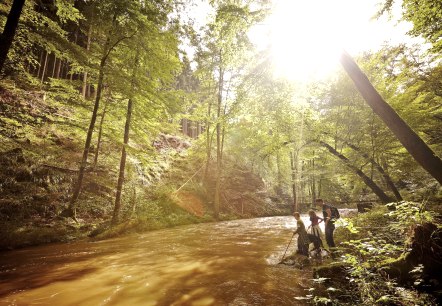 Wandern Bad Bertrich, © GesundLand Vulkaneifel