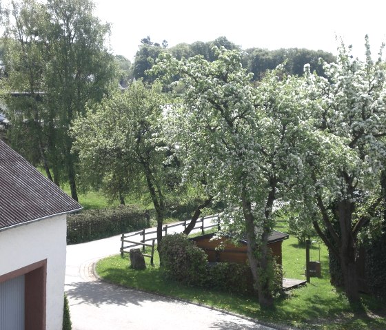 Frühlingserwachen in der Vulkaneifel, © Ferienhof an der Lay-Elisabeth Schröder