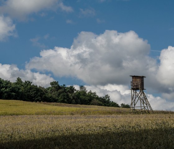 7-Dörfer-Wanderweg, © Volker Windheuser