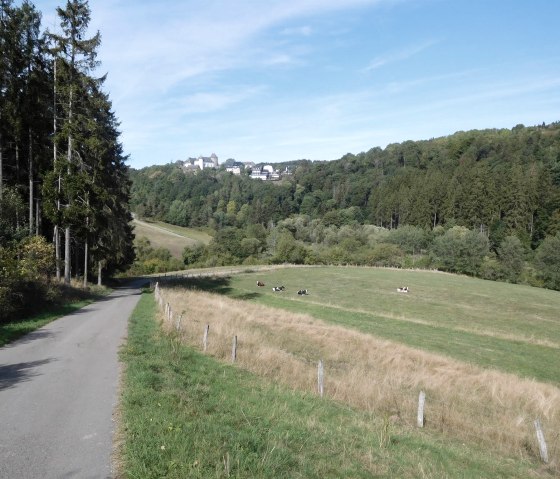 nähere Umgebung Wildenburg,, © Nordeifel Tourismus GmbH & Ferienwohnung Charly