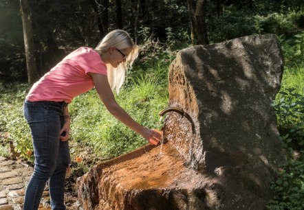 Darscheider Drees, © Natur- und Geopark Vulkaneifel GmbH