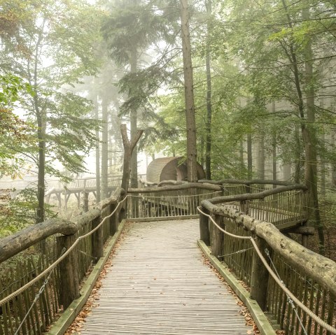 Wilder Weg, © Nationalparkverwaltung Eifel, D. Ketz