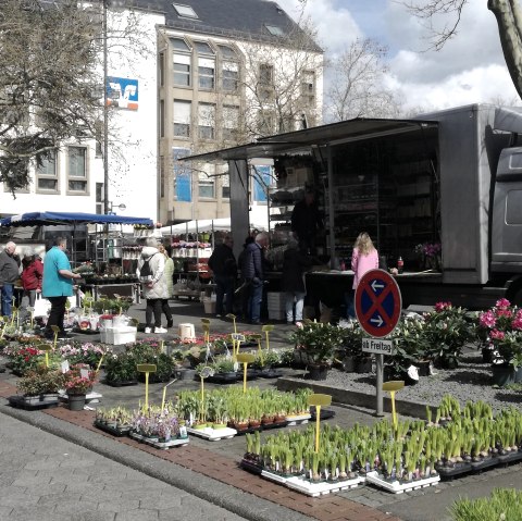 Markt in Bitburg, © TI Bitburger Land