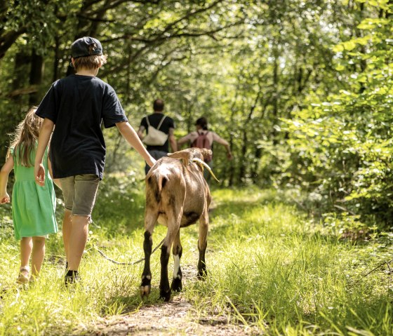 Unvergesslicher Familienausflug - Ziegenwanderung