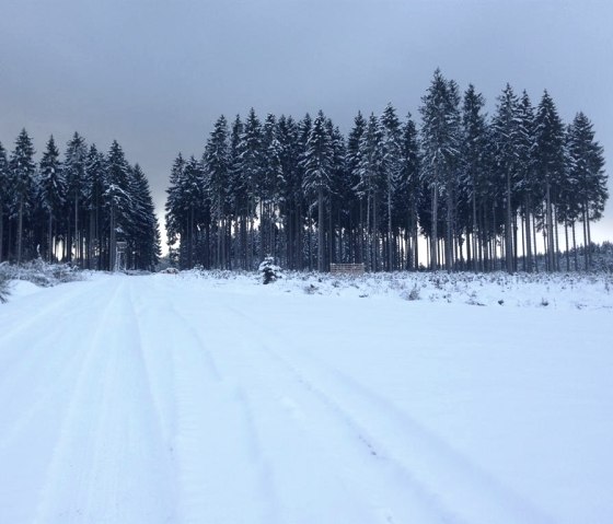 Winter im Nationalpark Eifel, © kph &  Nordeifel Tourismus GmbH