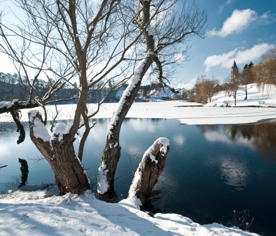 Eifelwinter-2010-025