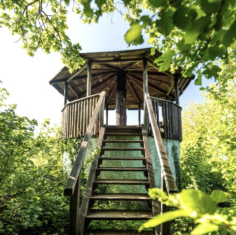 Aussichtsturm, © GesundLand Vulkaneifel GmbH