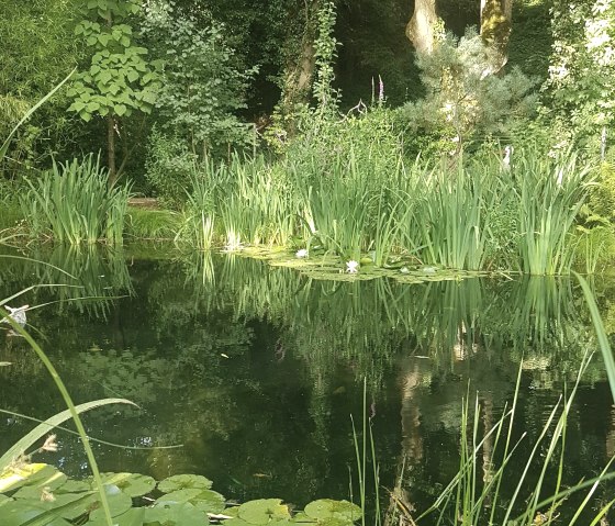 natural swimming pond - biotope, © Rainer Putz