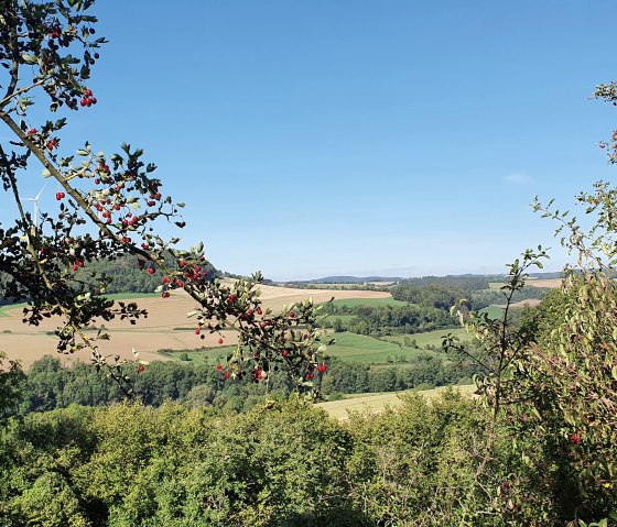 Blick ins Enztal, © TI BItburger Land - Steffi Wagner