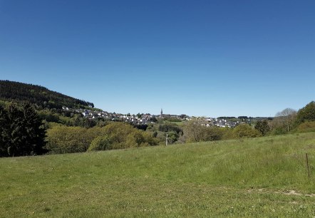 Blick auf Langenfeld, © Foto: Svenja Schulze-Entrup, Quelle: Touristik-Büro Vordereifel