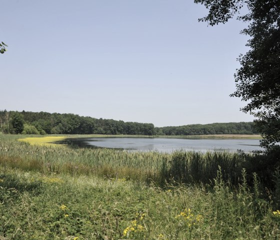 Idyllisches Rodder Maar, © Michael Hartusch