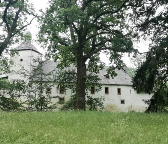 Wasserburg Seinsfeld 3, © TI Bitburger Land