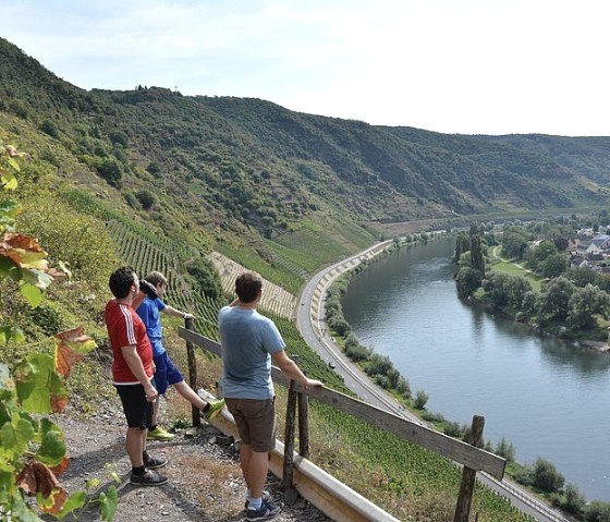 an der Mosel, © Norbert Heck Halsdorf